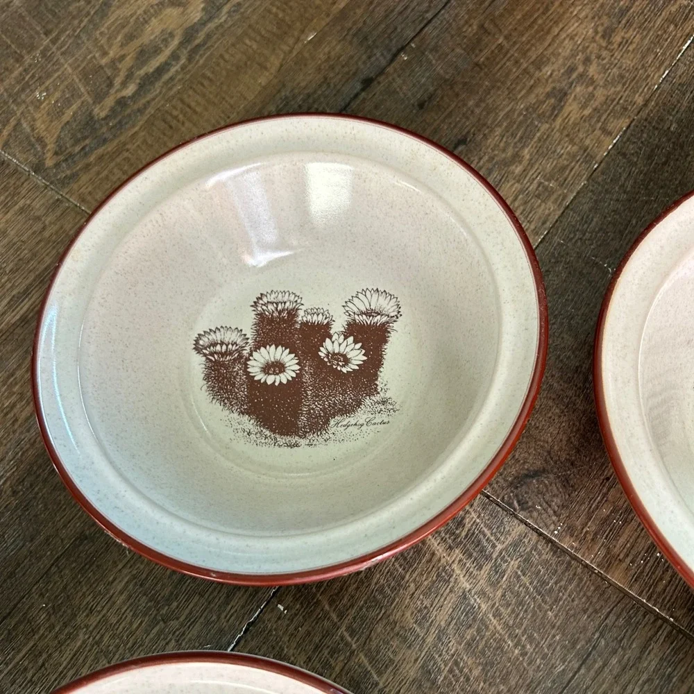 Noritake Desert Flowers Stoneware Bowls 8341 Hedgehog Cactus Set of 5 Japan 6.5